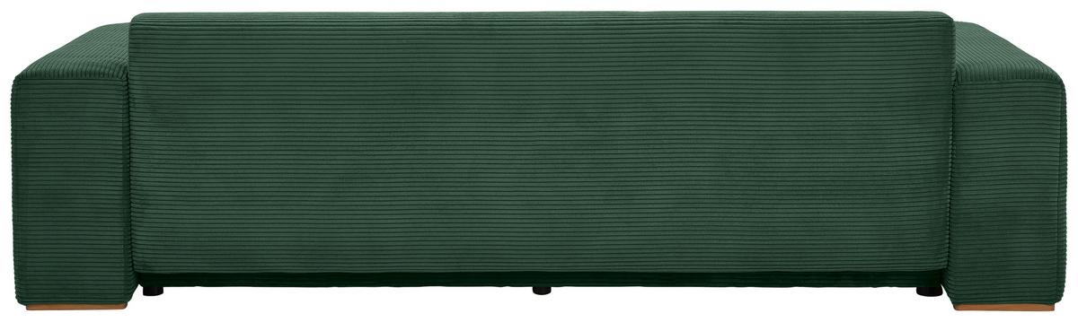 Schlafsofa Vouge Grün Bettkasten, B: 255 Cm - Buchefarben/Schwarz, KONVENTIONELL, Textil (255/86/123cm) - Livetastic