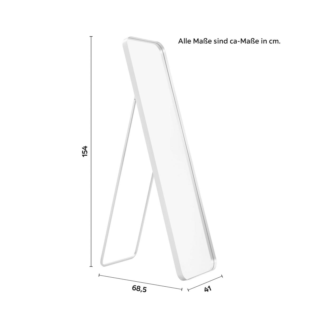 Zrkadlo LIV čierny rám - čierna, Modern, kov/sklo (41/154/68,5cm) - Bessagi Home