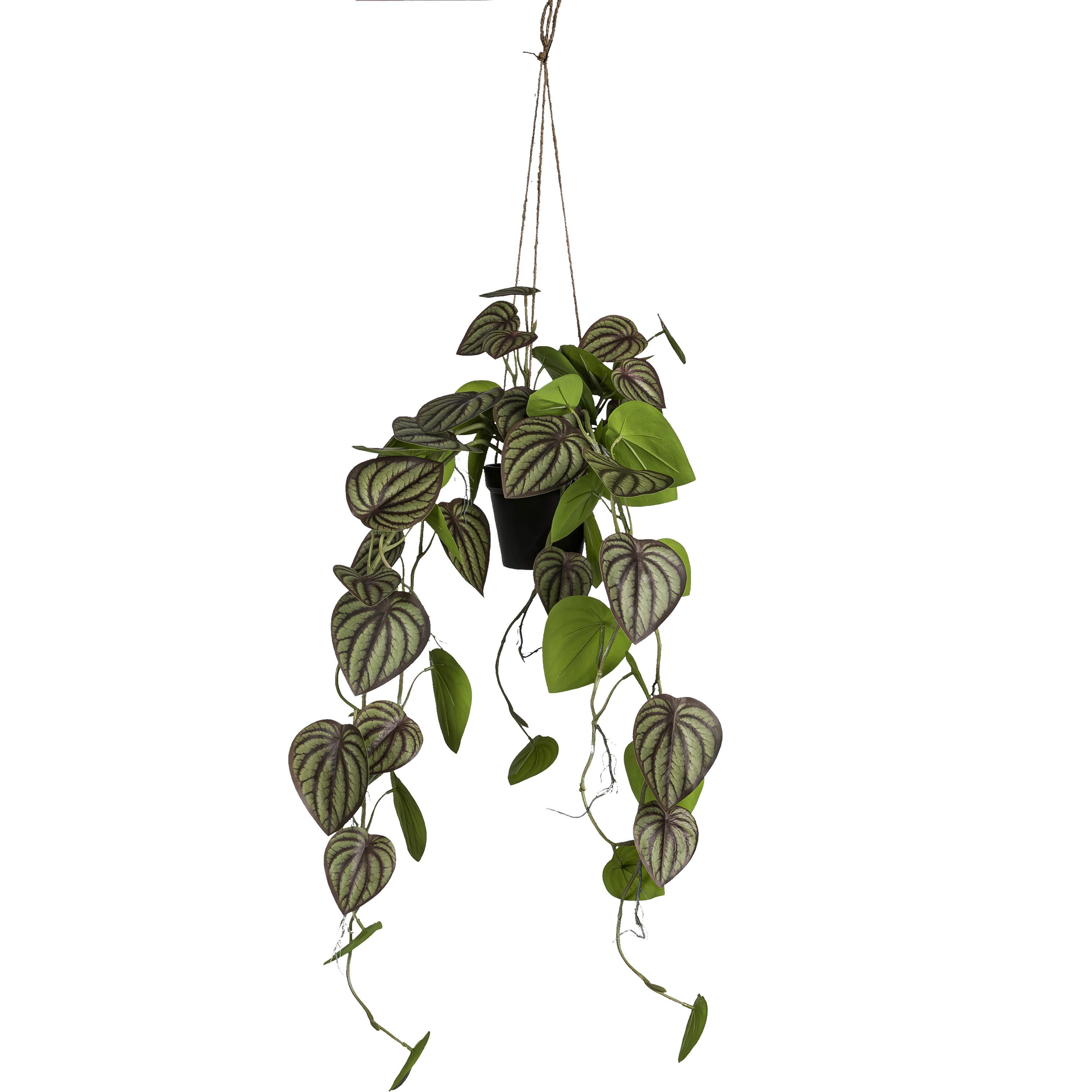 Kunstpflanze Grün B: 19 cm - Grün, Basics, Kunststoff (19/59/19cm)
