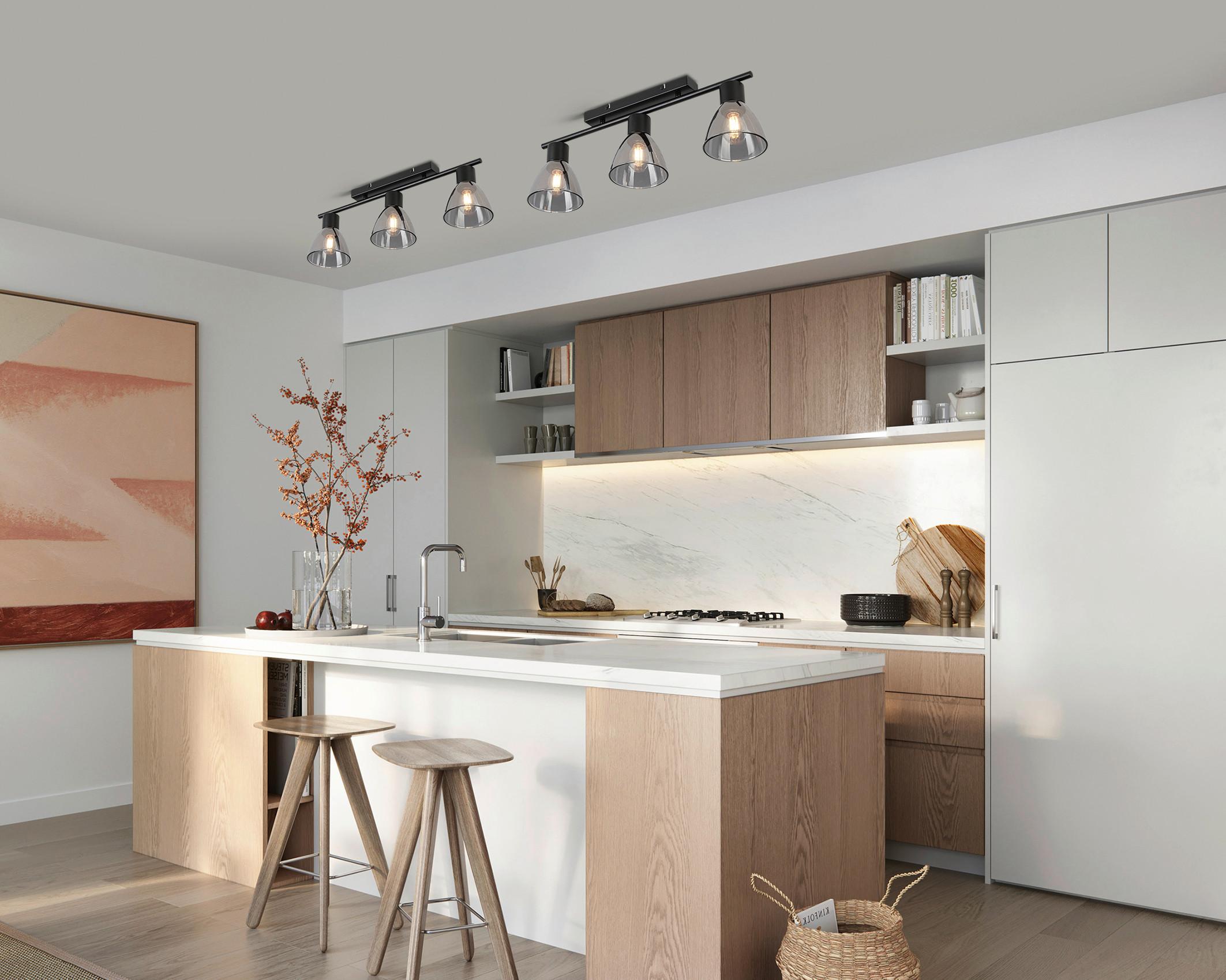 STROPNÉ SVIETIDLO KOMOL - priehľadné/čierna, Modern, kov/sklo (66/13/22cm) - Modern Living
