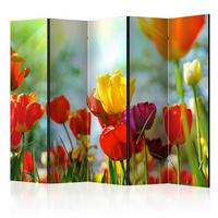 Paravent Multicolor B: 225 Cm - Multicolor, Basics, Holz/Textil (225/172/3cm) - artgeist