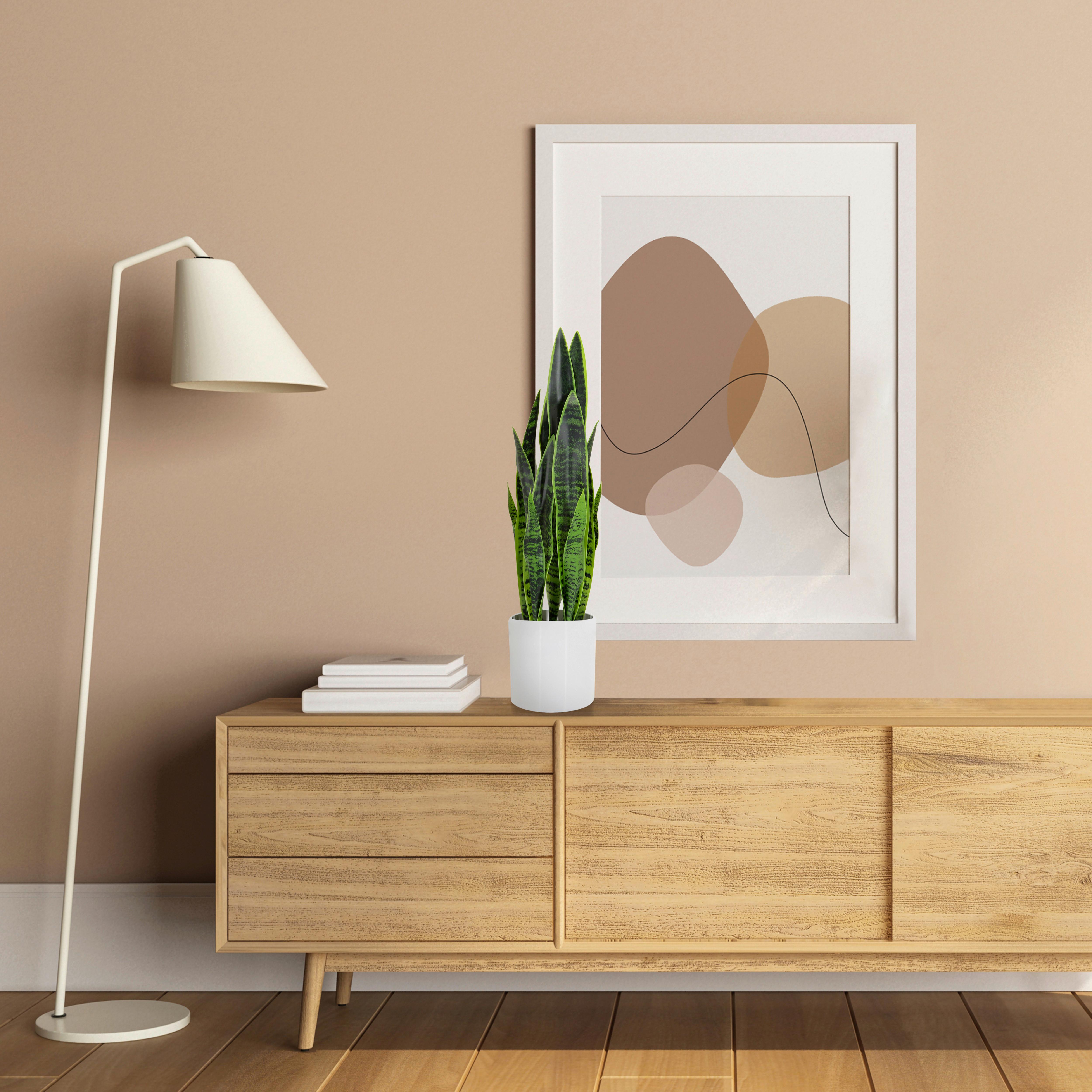 Kunstpflanze Sansevieria - Weiß/Grün, Basics, Kunststoff/Textil (16/65/16cm) - MID.YOU