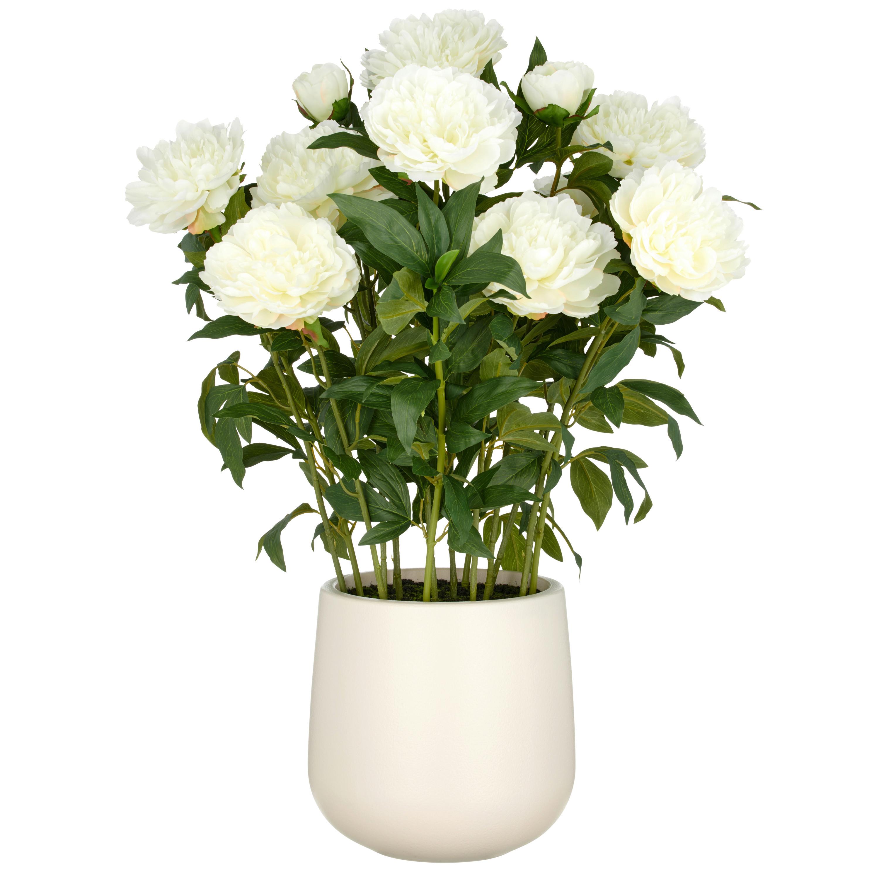 Kunstpflanze Creme Grün B: 26 cm - Creme/Grün, Basics, Kunststoff (26/80/26cm)