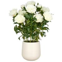 Kunstpflanze Creme Grün B: 26 cm - Creme/Grün, Basics, Kunststoff (26/80/26cm)
