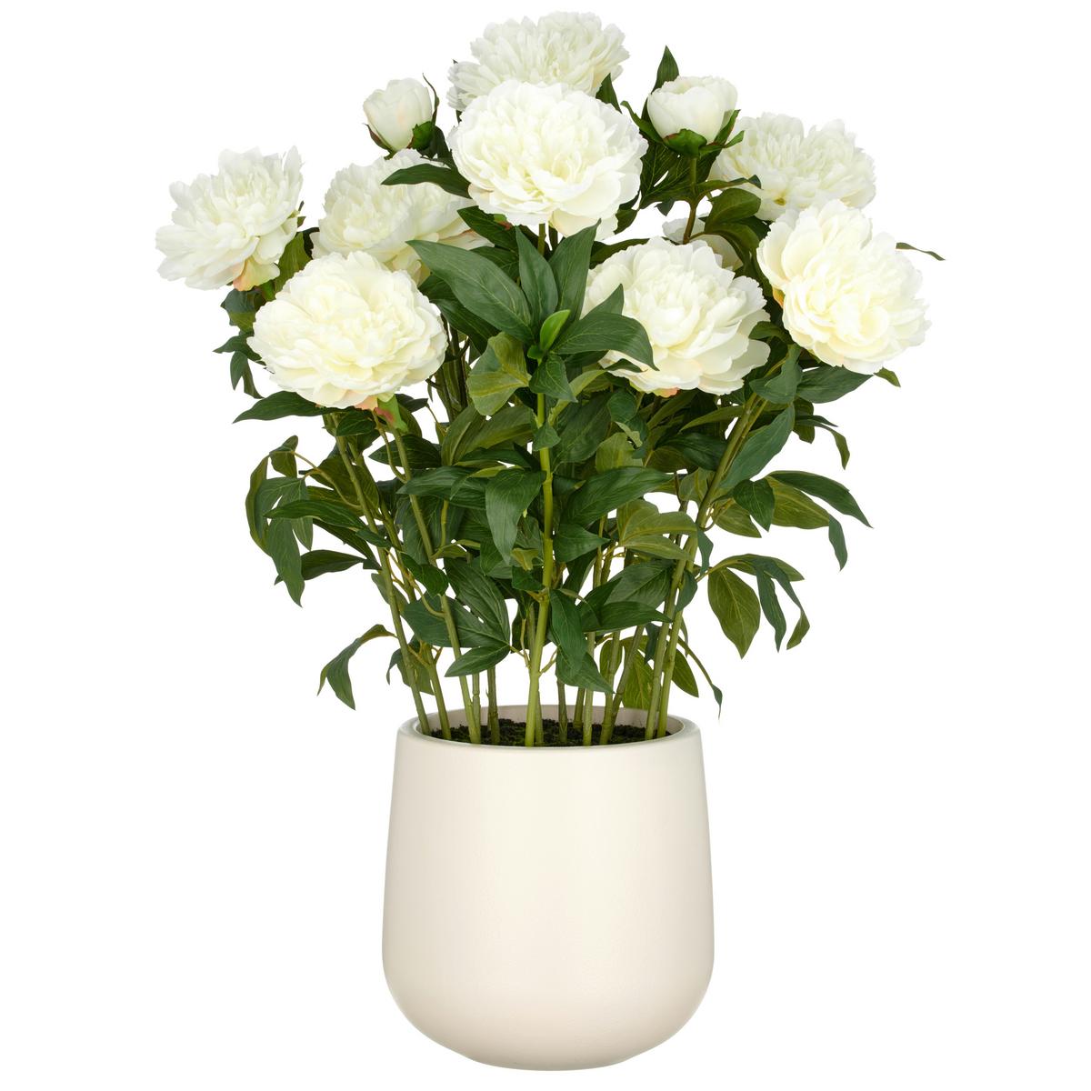 Kunstpflanze Creme Grün B: 26 cm - Creme/Grün, Basics, Kunststoff (26/80/26cm)