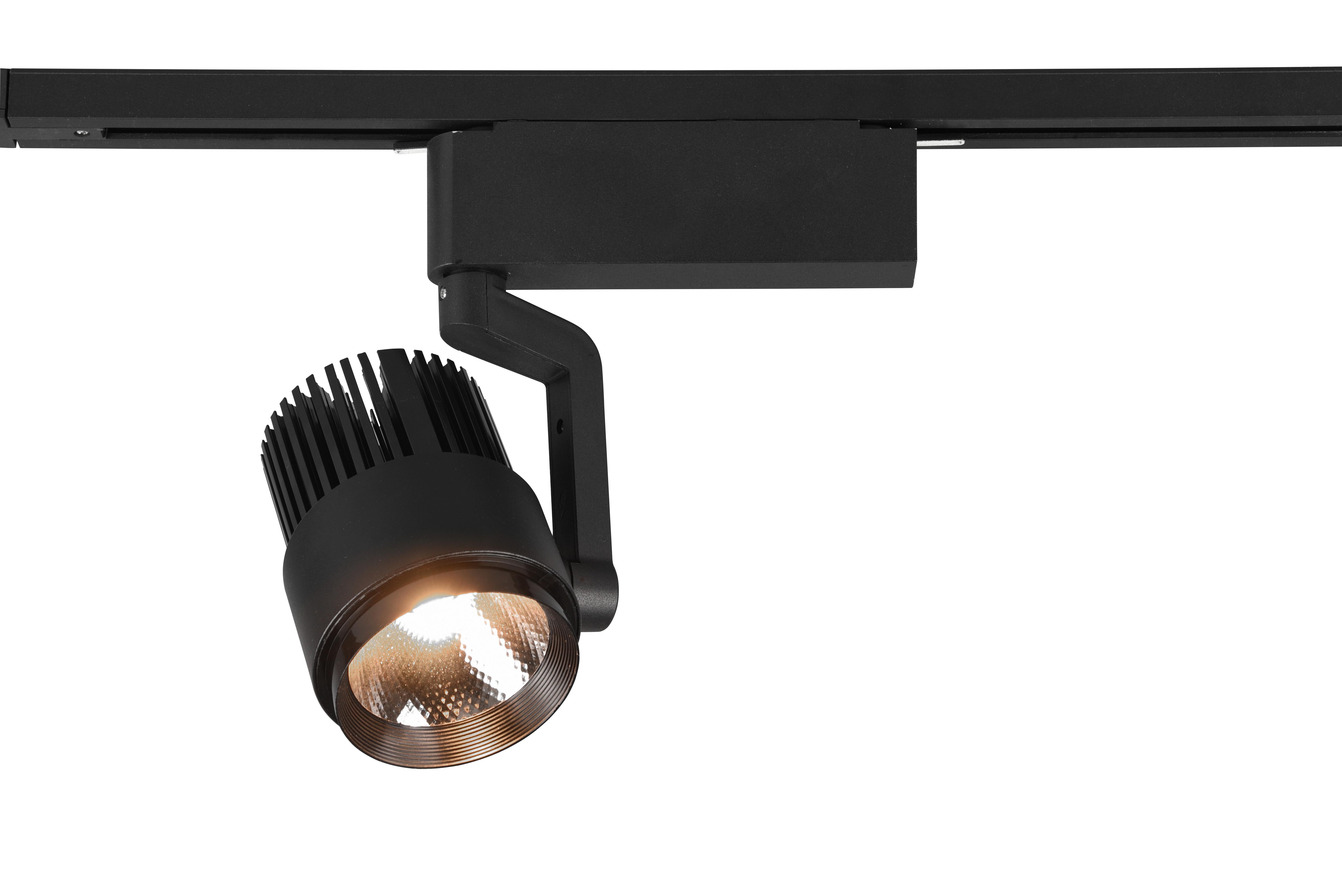Deckenleuchte 78030132 Duoline Radiator - Schwarz, Basics, Metall (23/22,3/9cm) - Trio Leuchten