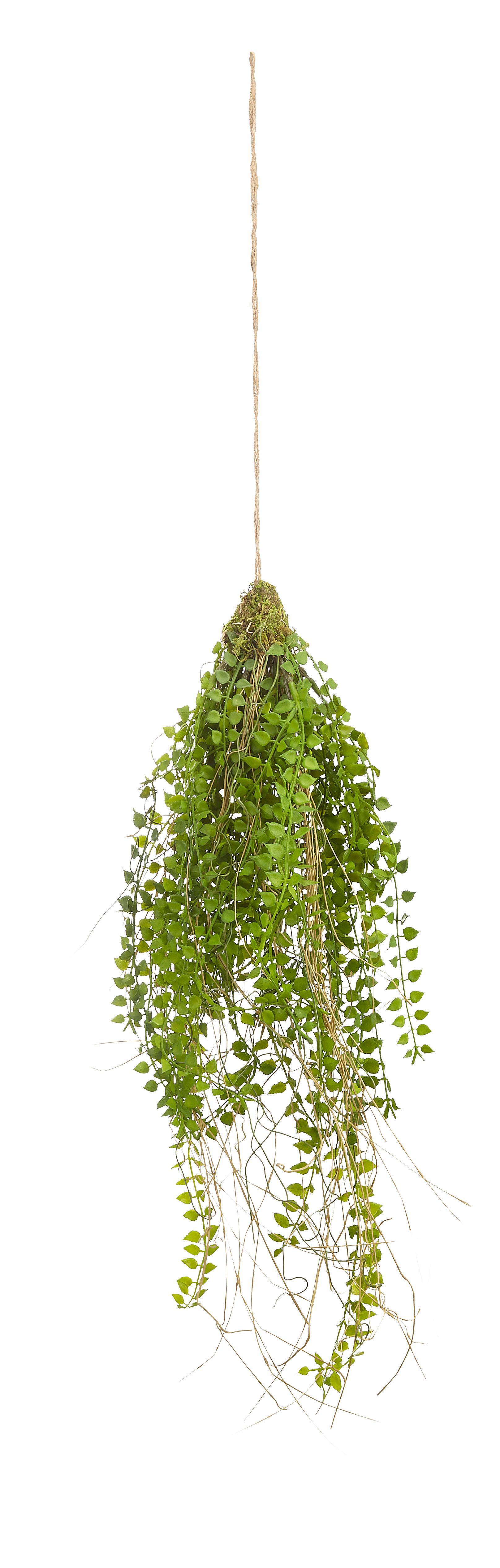 UMĚLÁ ROSTLINA COLUMNEA II - zelená, plast (70cm) - Modern Living