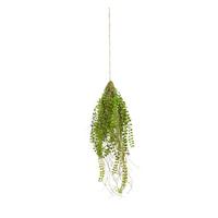 UMĚLÁ ROSTLINA COLUMNEA II - zelená, plast (70cm) - Modern Living