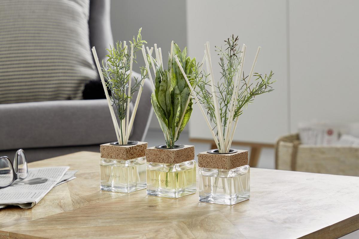 Diffúzor Eileen - zöld, Basics, műanyag/üveg (7/22/7cm) - Luca Bessoni