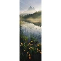 Vliestapete Morning Mist - Multicolor, Basics (100/280cm) - Komar