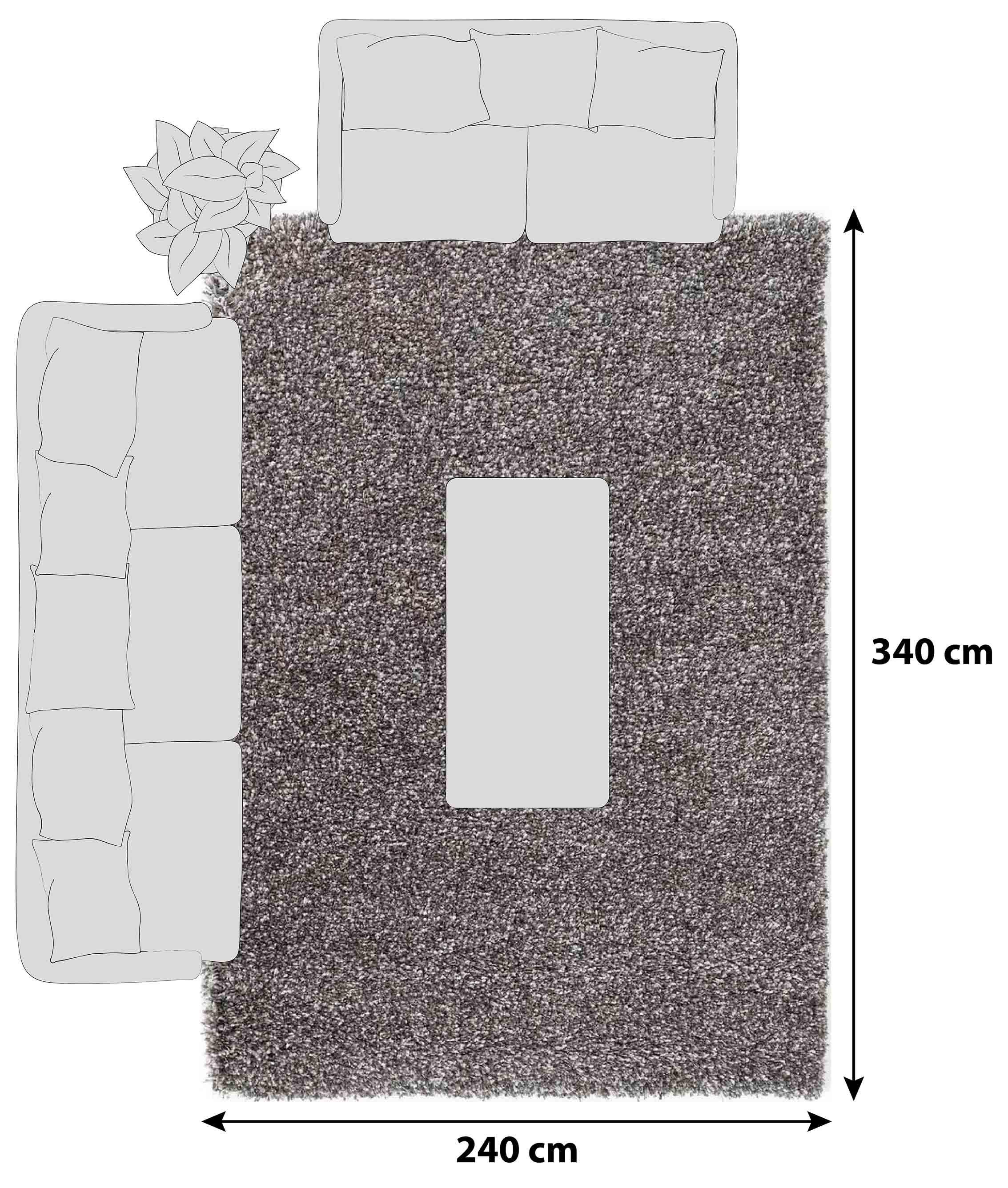 HOCHFLORTEPPICH FASHION SHAGGY - Braun/Grau, Basics, Textil (240/340cm) - Novel