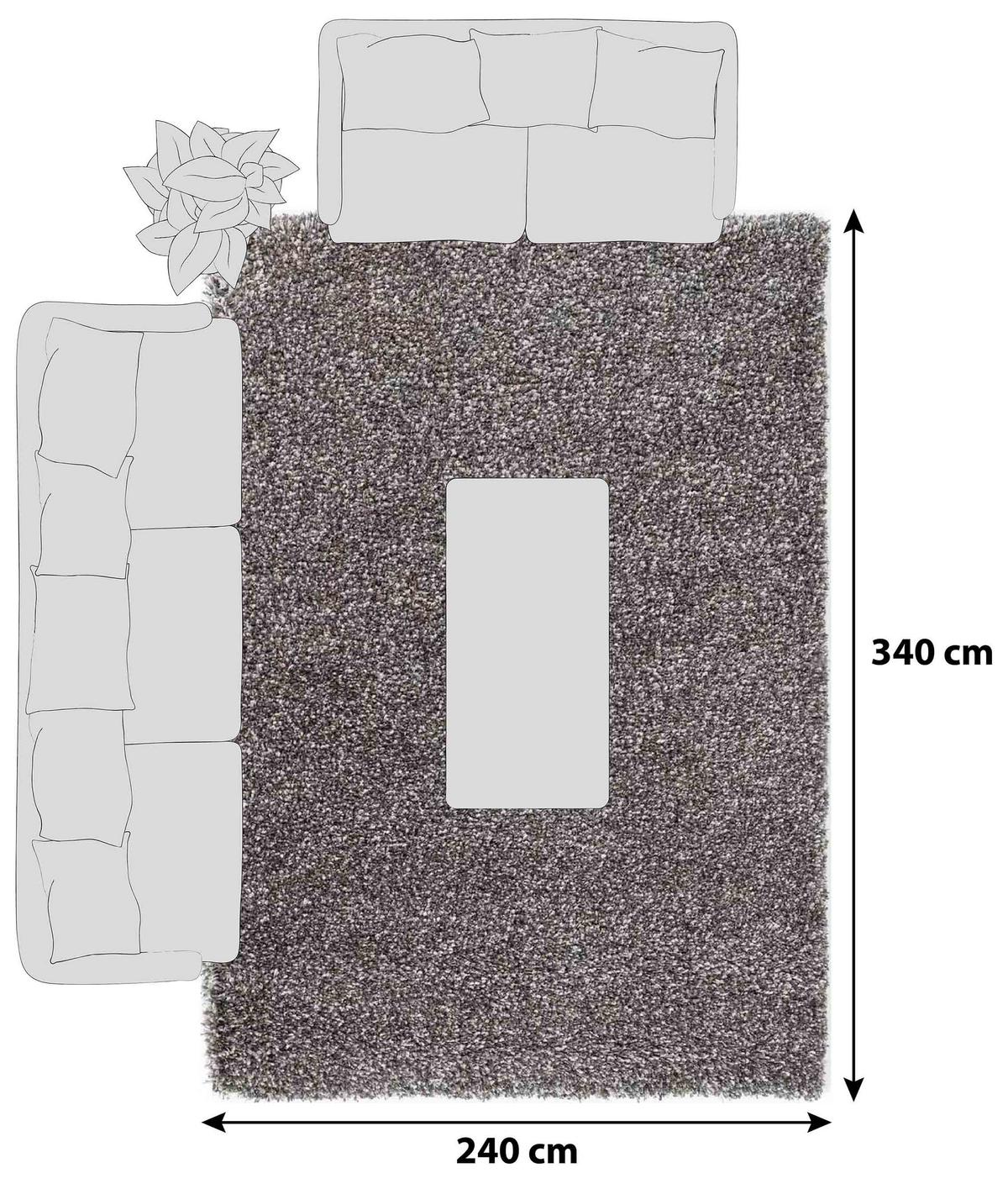 Hochflorteppich Fashion Shaggy - Braun, Basics, Textil (240/340cm) - Novel