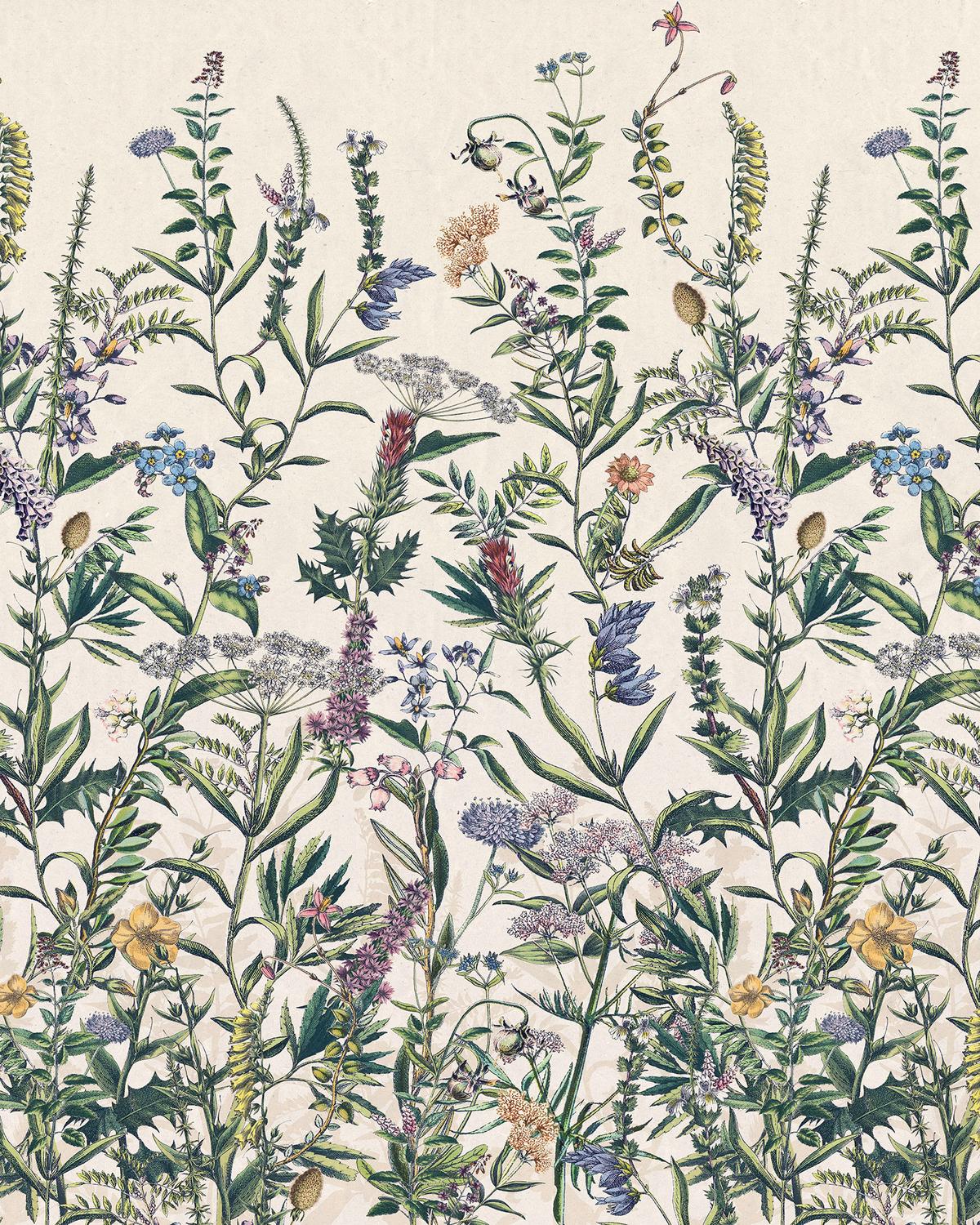 Vliestapete Flowering Herbs - Multicolor, Basics (200/250cm) - Komar