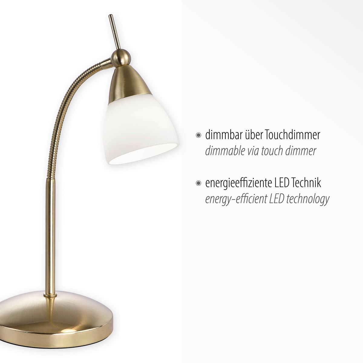 LED-Tischleuchte 4001-60 Pino - Messingfarben, Basics, Glas/Metall (30/30/45cm) - Paul Neuhaus