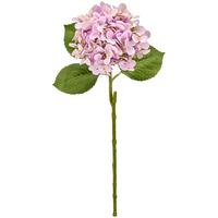 Hortensienzweig rosa/Pink 60 cm - Pink/Grün, MODERN, Kunststoff (60cm)