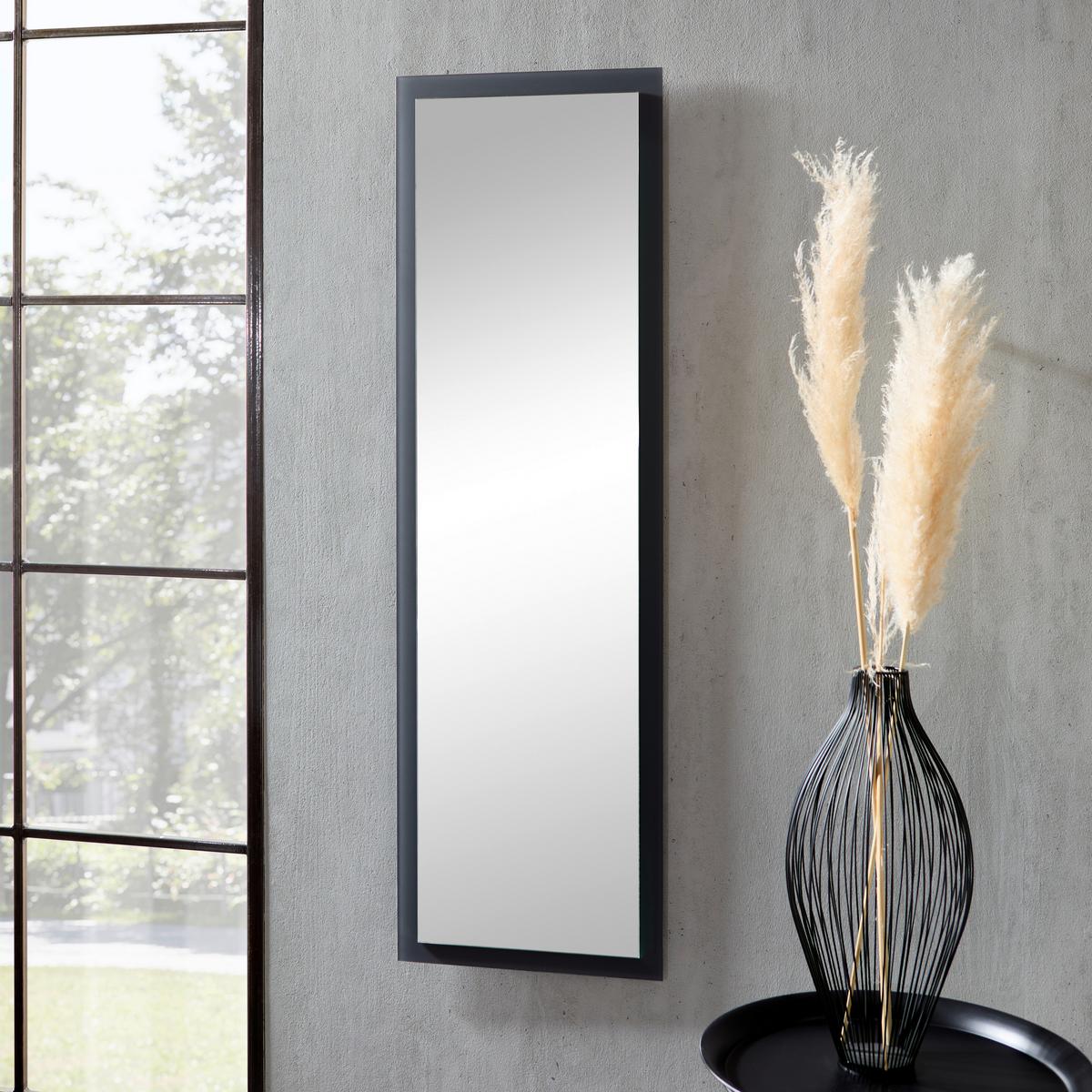 Wandspiegel Laco 14 Anthrazit BxH: 118x36 cm - Anthrazit, MODERN, Glas (118/36cm)