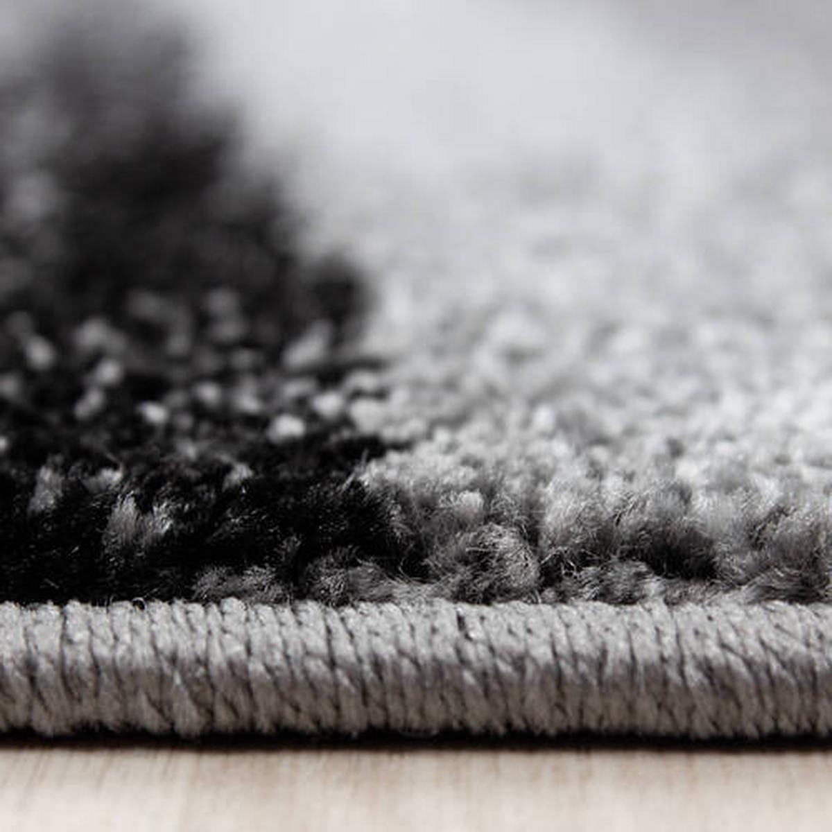 Webteppich Lucca - Schwarz, Trend, Textil (240/340cm) - Novel