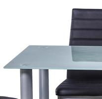 Tischgruppe WELS