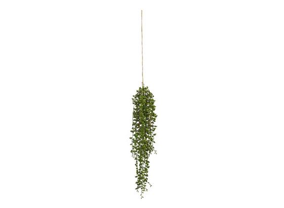 Umelá Rastlina Senecio - zelená, plast (88cm) Umelá Rastlina Senecio - zelená, plast (88cm)