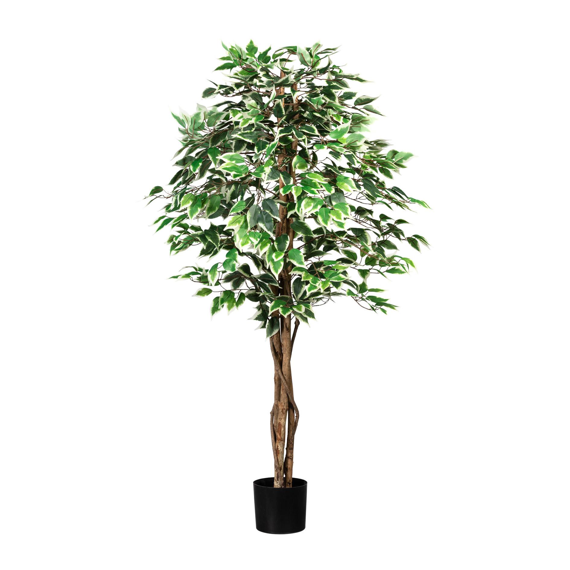 Kunstpflanze Ficus Benjamina Grünpflanzen - Schwarz/Weiß, Design, Kunststoff (150cm) - P & B