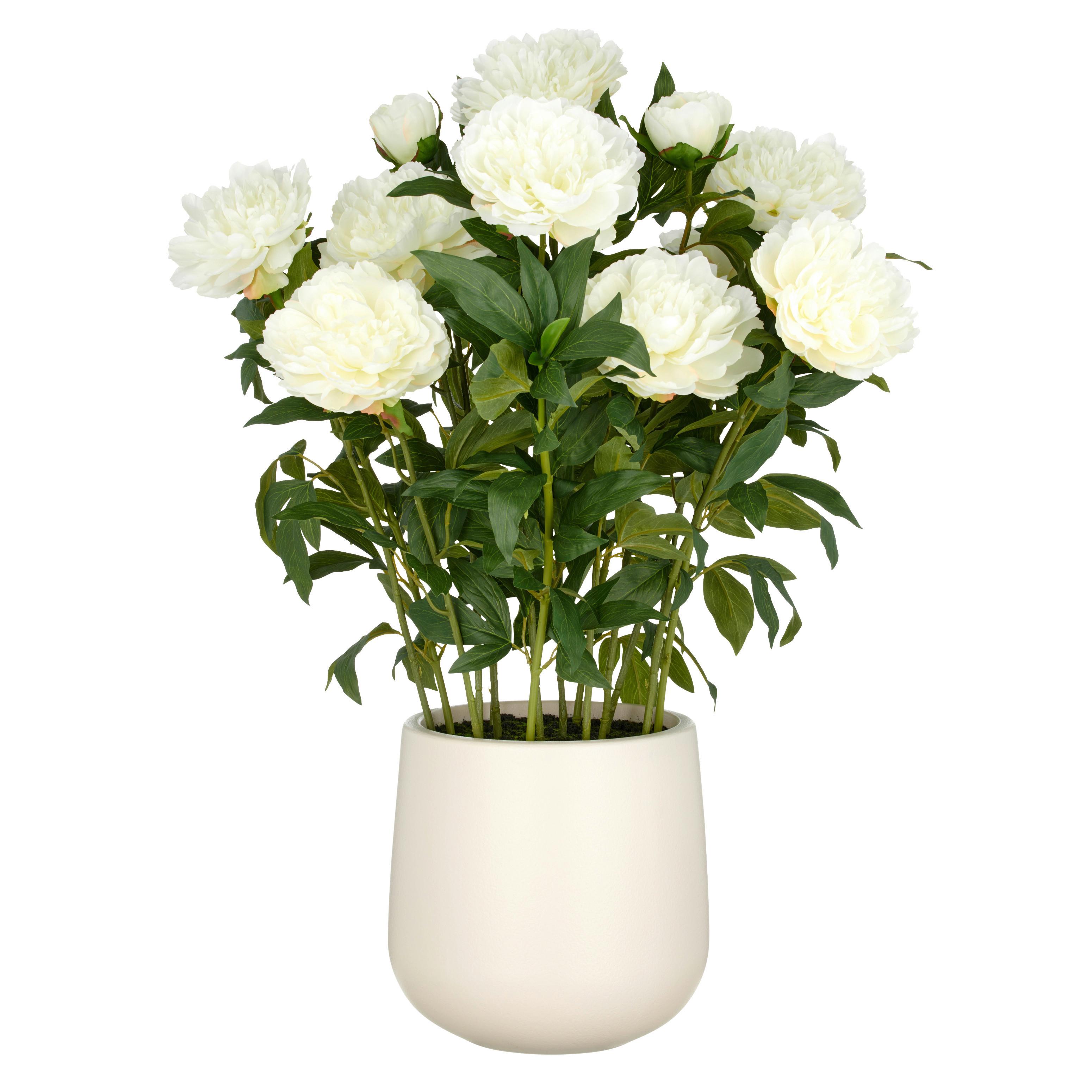 Kunstpflanze Creme Grün B: 26 Cm - Creme/Grün, Basics, Kunststoff (26/80/26cm)