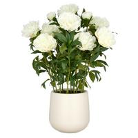 Kunstpflanze Creme Grün B: 26 Cm - Creme/Grün, Basics, Kunststoff (26/80/26cm)