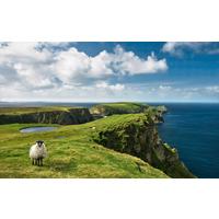 Fototapete Green Ireland - Multicolor, Trend, Textil (450/280cm)