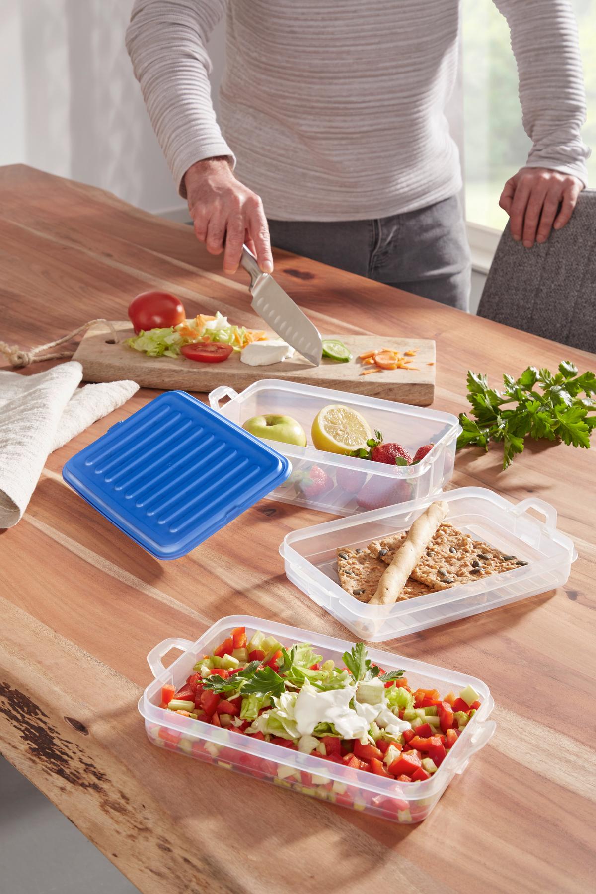 Ételtároló Készlet Alea - áttetsző/kék, Modern, műanyag (15,5/23/12,5cm) - Luca Bessoni