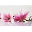 Prestieranie Orchidee - plast (29/44cm) - Mömax modern living Prestieranie Orchidee - plast (29/44cm) - Mömax modern living