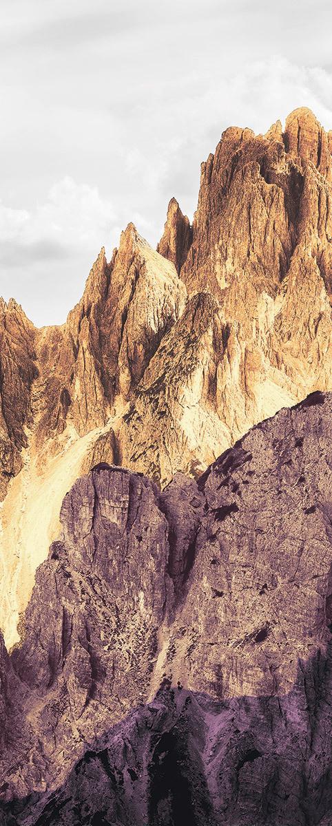Vliestapete 6008b-Vd1 Peaks Color Panel - Natur (100/250cm)