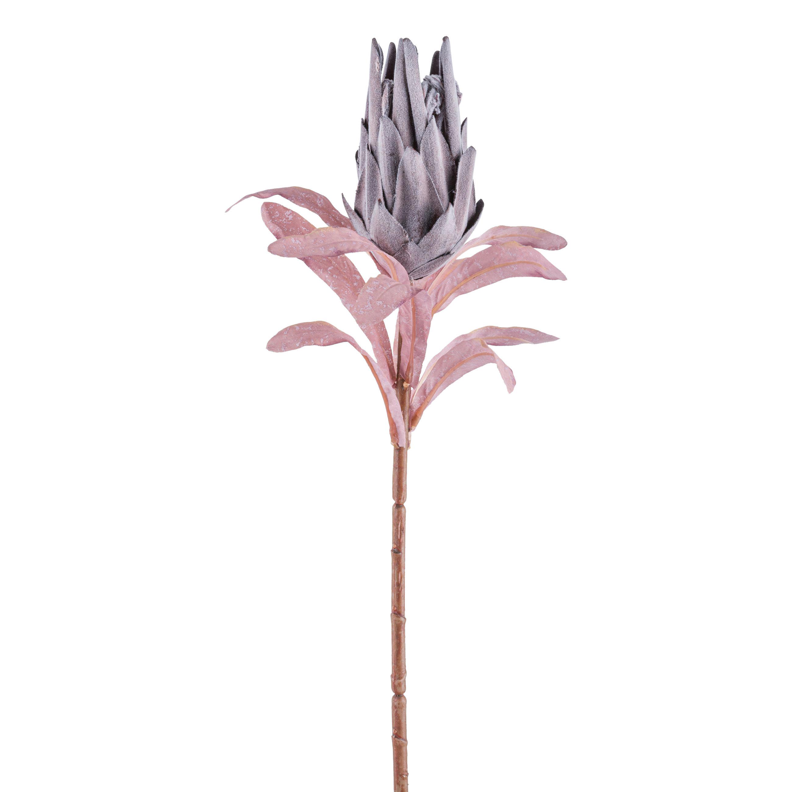 DEKORAČNÍ VĚTVIČKA PROTEA II - zelená/fialová, Konvenční, plast (50cm) - Modern Living
