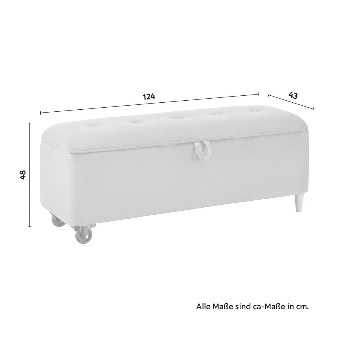 Sedací lavice s úl.prostorem ELLA sv. šědá - černá/světle šedá, Moderní, dřevo/textil (124/48/43cm) - Bessagi Home