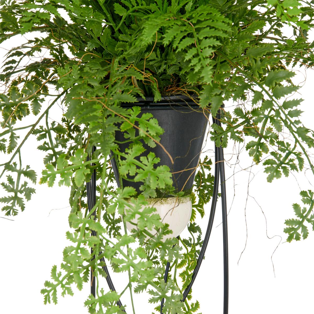 Kunstpflanze Farnmix, H: 60 cm Kunststoff, Grün/Schwarz, - Schwarz/Grün, Basics, Kunststoff/Metall (60cm) - P & B