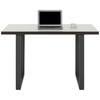 Písací stôl KEFLAVIK -EXKLUSIV- - sivá/biela, Modern, kov/kompozitné drevo (120/74,1/75cm) - Mömax