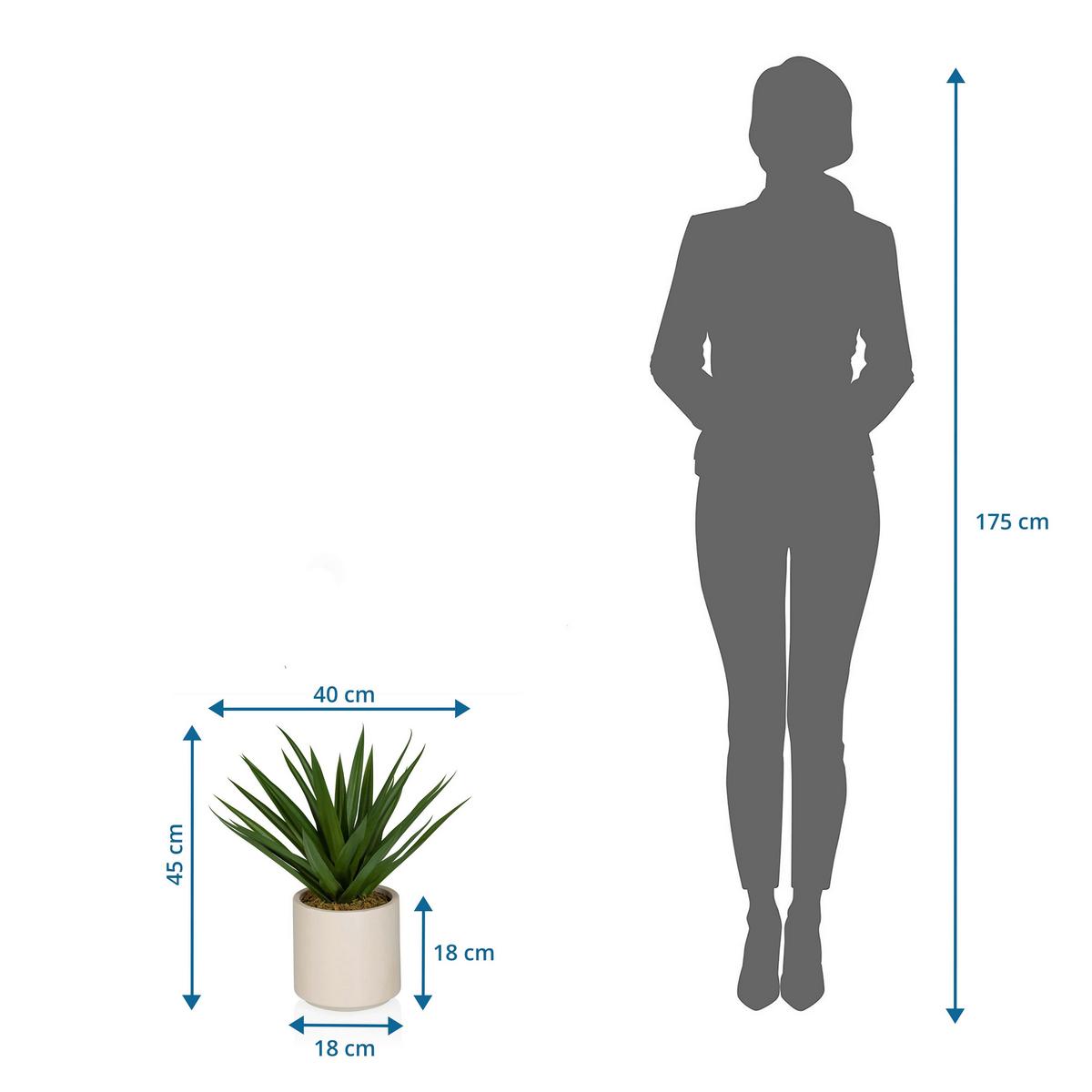 KUNSTPFLANZE Agave Grün B: 40cm - Beige/Grün, MODERN, Kunststoff (40/45/40cm) - MID.YOU