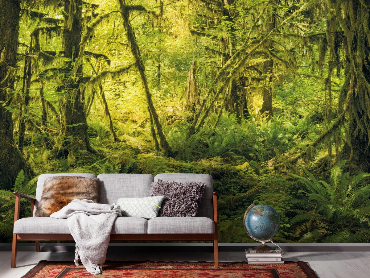 Vliestapete Sh040-Vd4 Ancient World - Natur (400/250cm)