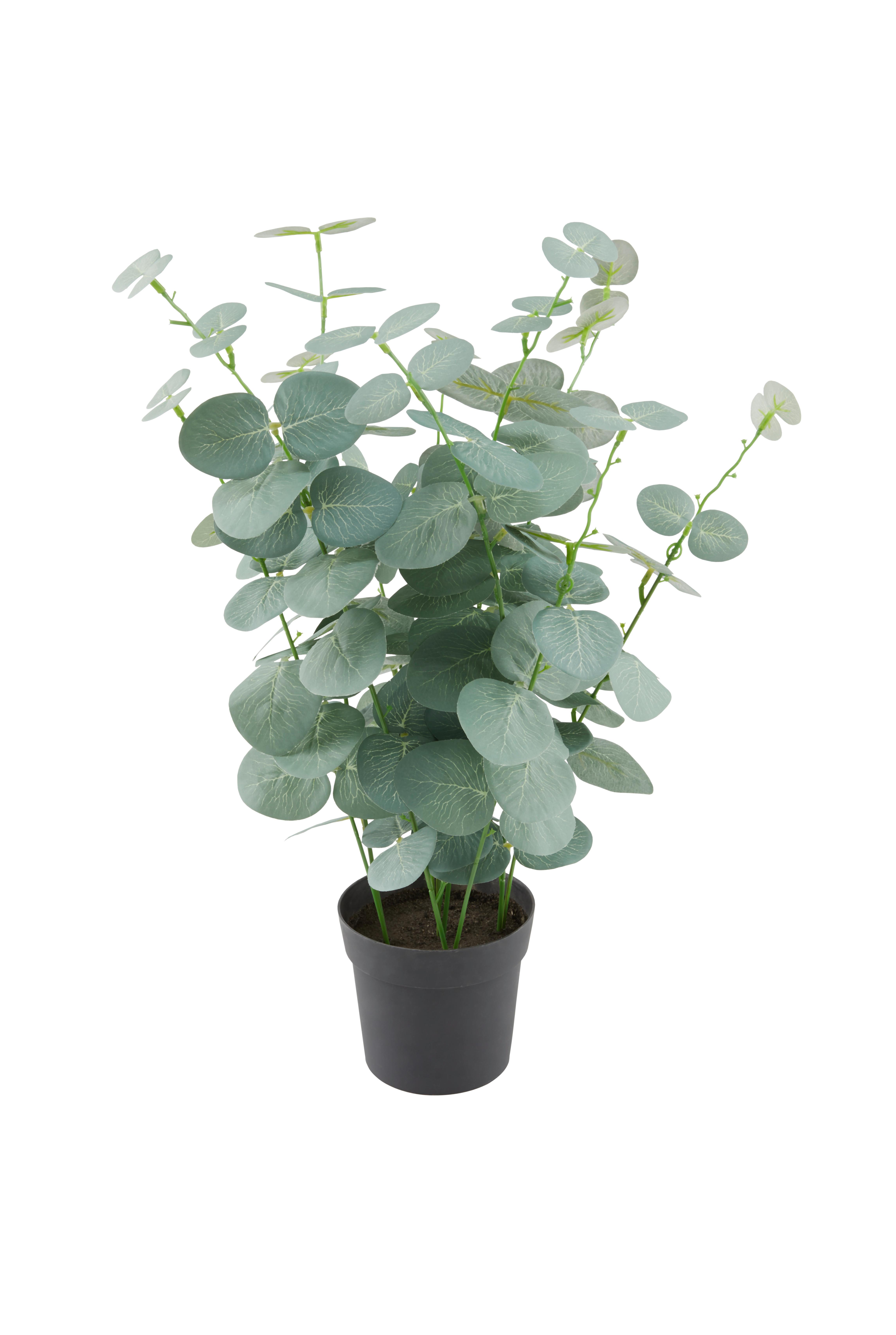 Kunstpflanze Carmen - Schwarz/Grün, MODERN, Kunststoff (18/40cm) - Luca Bessoni