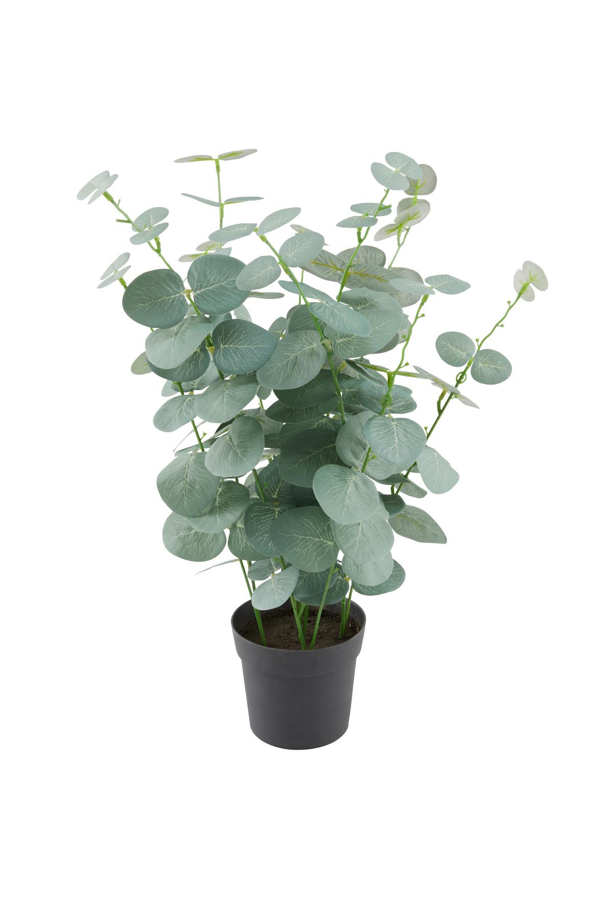 Műnövény Carmen - fekete/zöld, Modern, műanyag (18/40cm) - Luca Bessoni