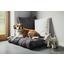 Dekoračný Vankúš Bigmex - antracitová, textil (65/65cm) - Mömax modern living Dekoračný Vankúš Bigmex - antracitová, textil (65/65cm) - Mömax modern living