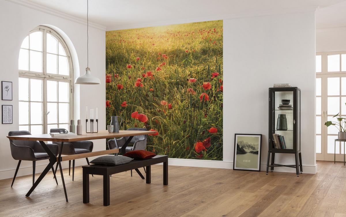 Fototapete Poppy World - Multicolor, Trend, Textil (250/280cm)