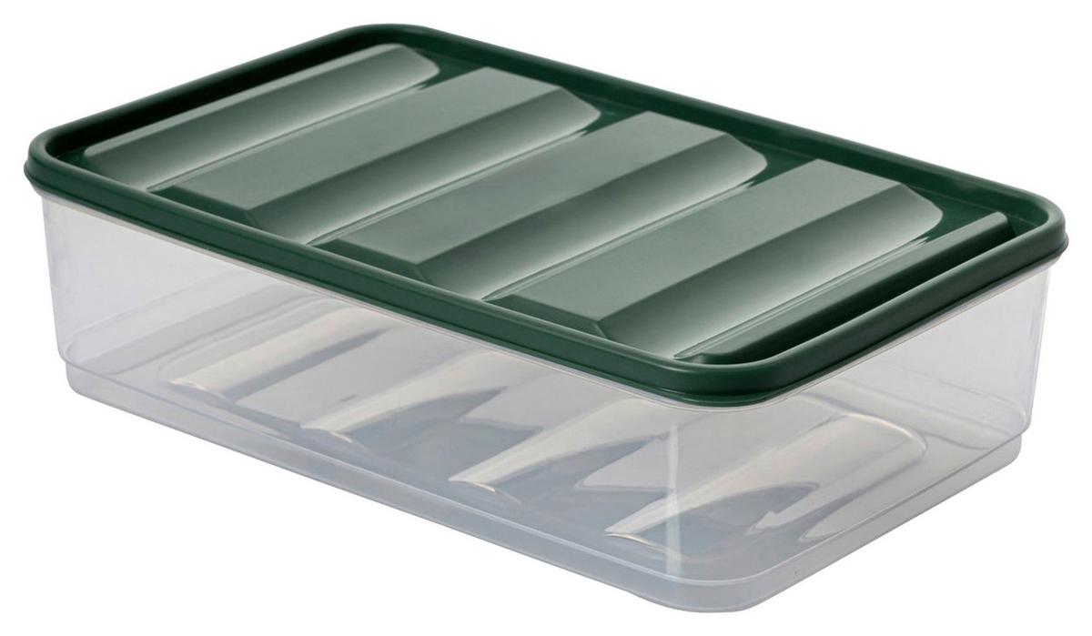 Vorratsdosenset Grün 20-teilig - Dunkelgrün/Transparent, Kunststoff