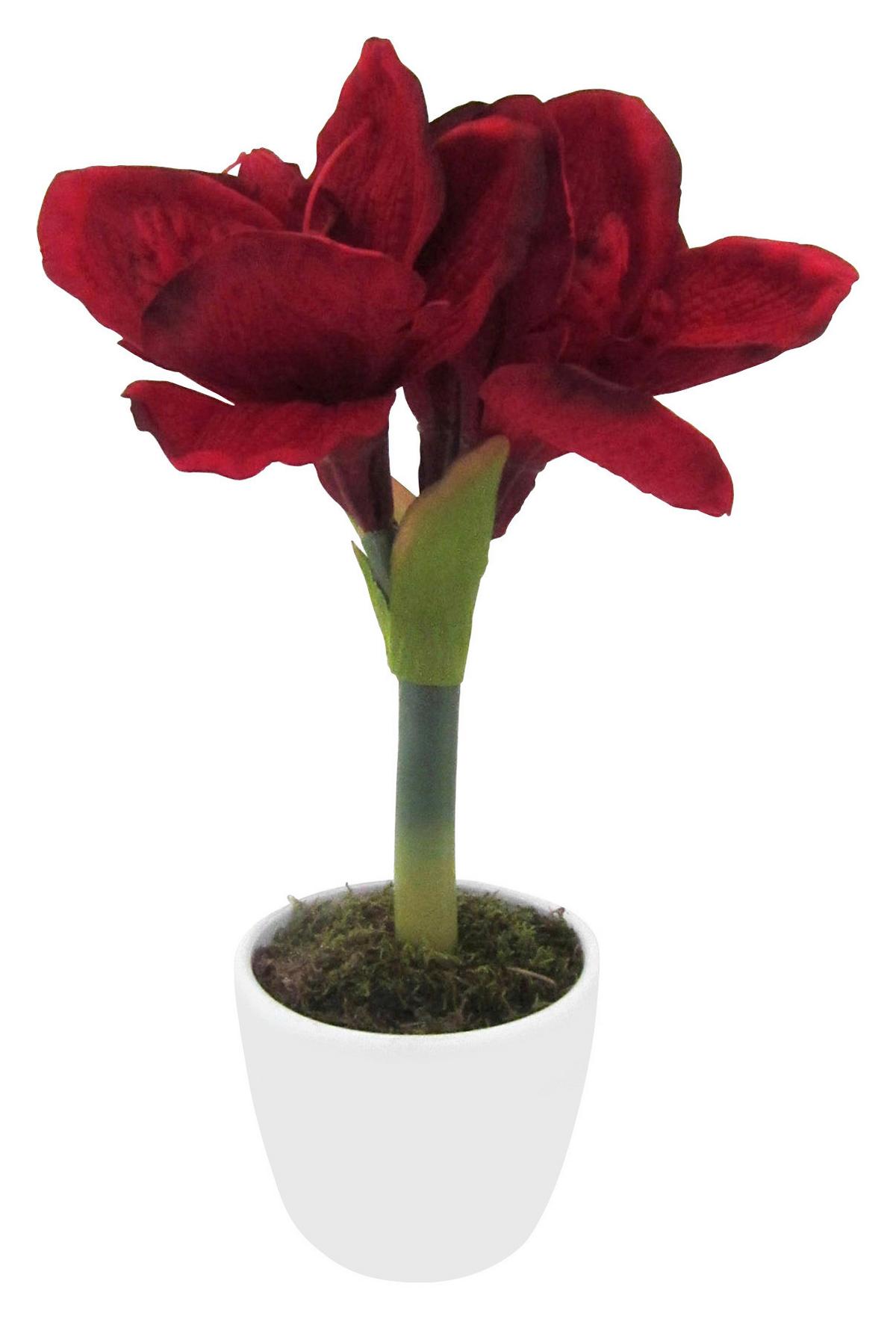 Kunstpflanze Grün/Rot/Weiß L: ca. 40 cm mit Topf Bibi - Rot/Braun, Natur, Kunststoff/Metall
