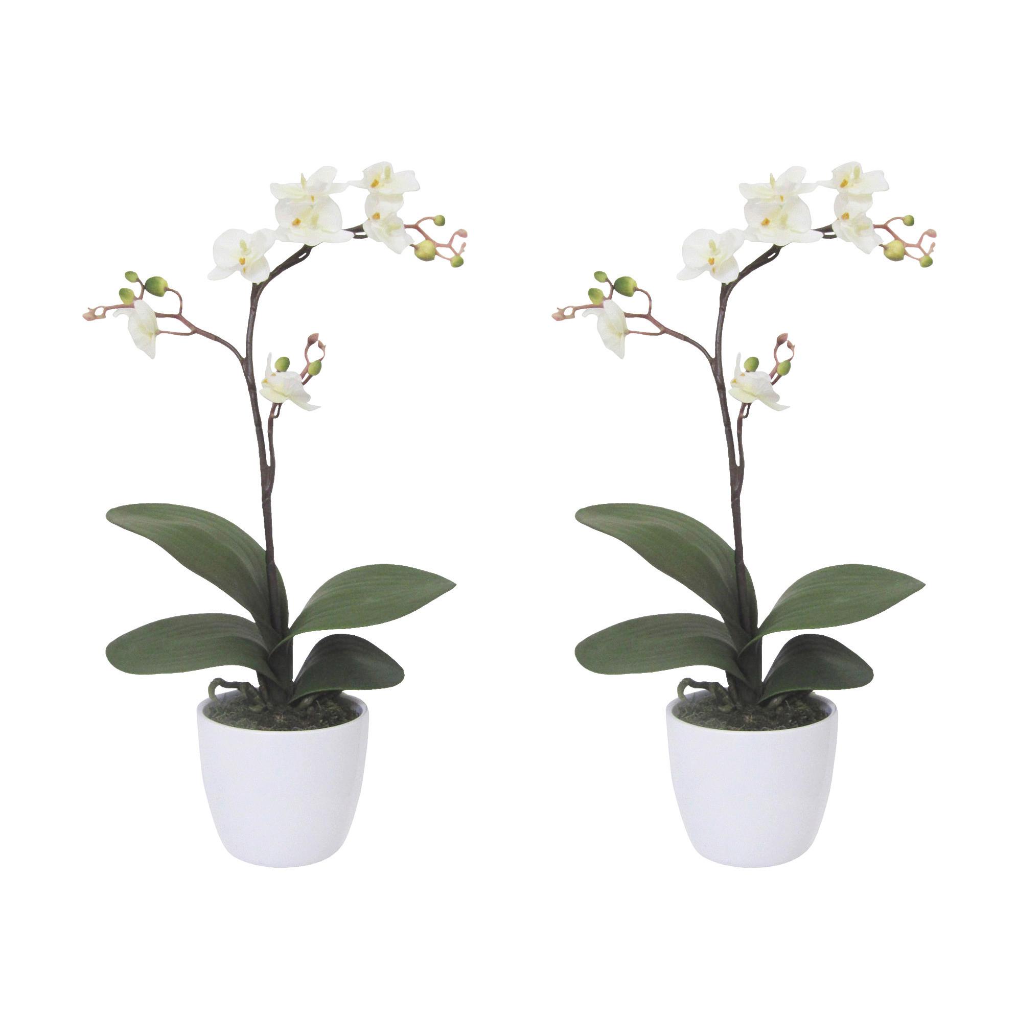 Kunstpflanze Orchideen Creme, Topf: Weiß: H: 55 cm - Creme/Weiß, Design, Keramik/Kunststoff (55cm) - P & B