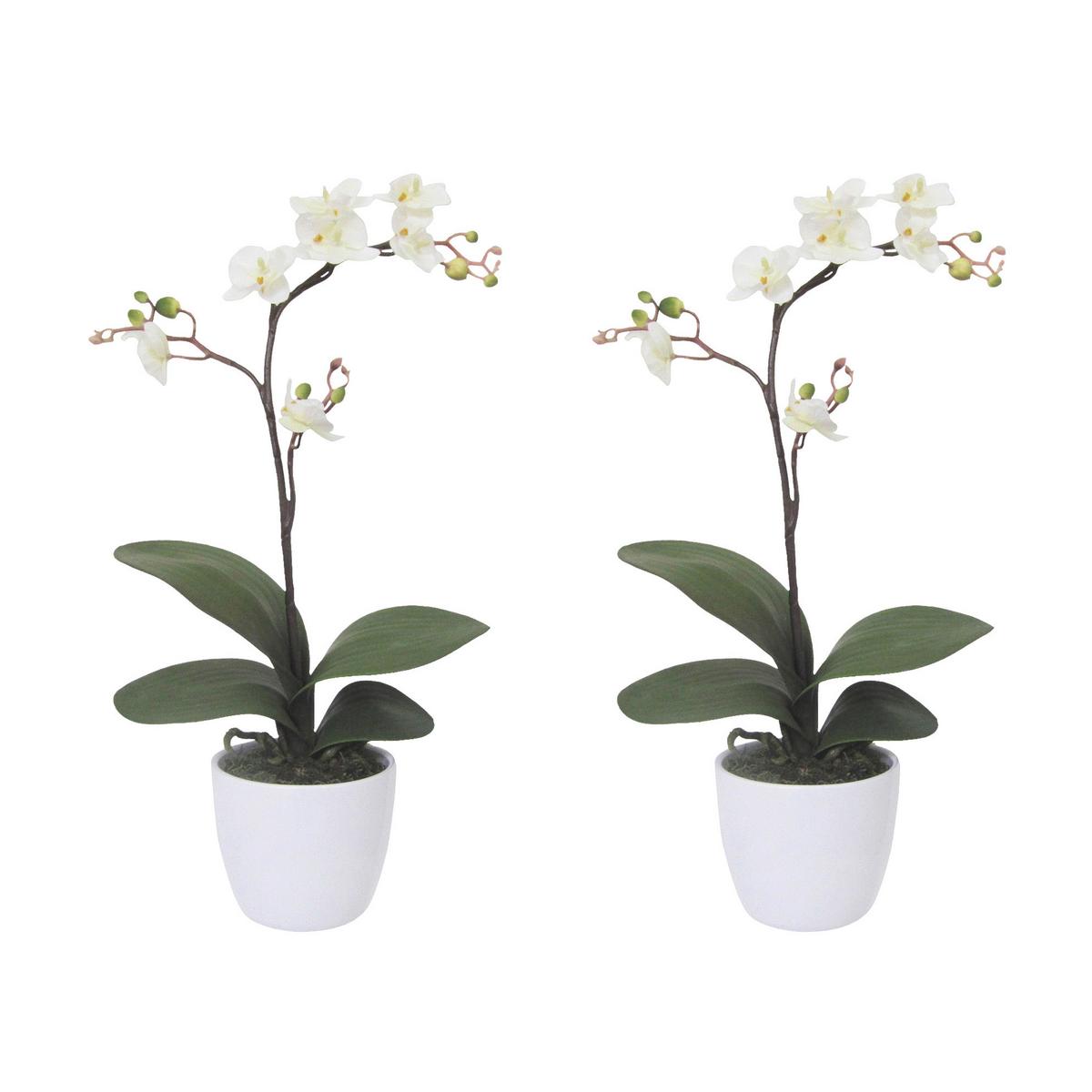 Kunstpflanze Orchideen Creme, Topf: Weiß: H: 55 cm - Creme/Weiß, Design, Keramik/Kunststoff (55cm) - P & B