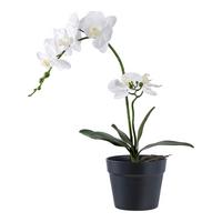 Kunstpflanze Orchid Weiß B: 21 cm - Weiß, Design (21/47/34cm)