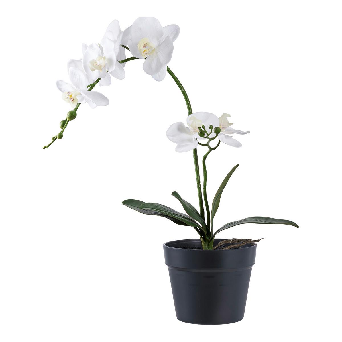 Kunstpflanze Orchid Weiß B: 21 cm - Weiß, Design (21/47/34cm)
