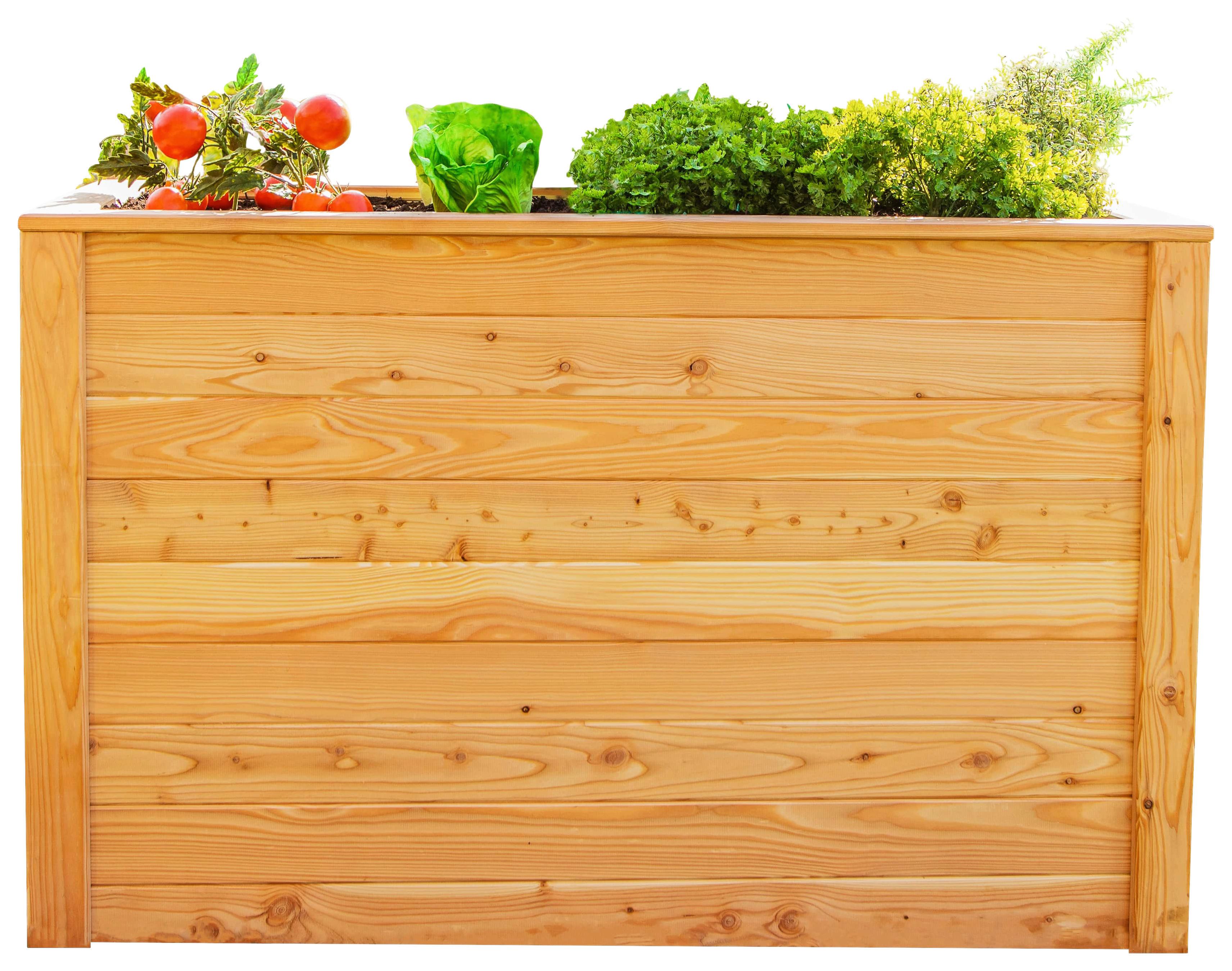 Hochbeet Hochbeet Lärche 130 - Lärchefarben, Basics, Holz (65/84/130cm)