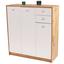 Komoda 4-you New Yuk09 - farby dubu/biela, Moderný, kompozitné drevo (109,1/111,4/34,6cm) Komoda 4-you New Yuk09 - farby dubu/biela, Moderný, kompozitné drevo (109,1/111,4/34,6cm)