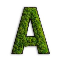 Moosbild Grün B: 26 cm - Schwarz/Grün, Basics, Naturmaterialien/Holz (26/21/4cm)