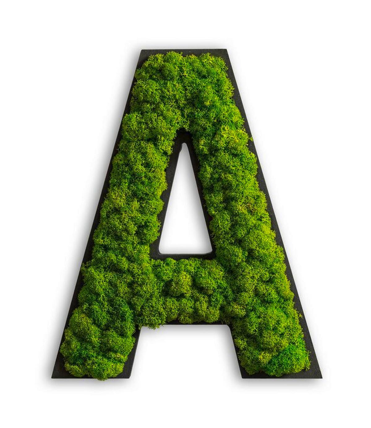 Moosbild Grün B: 26 cm - Schwarz/Grün, Basics, Naturmaterialien/Holz (26/21/4cm)